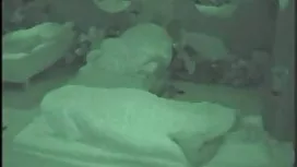 Минерва и Лион се пр ...