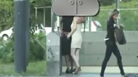 Красотата безплатни  ...
