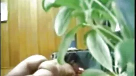 Всичко, което се слу ...